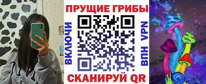 Галлюциногенные грибы Psilocybine cubensis  дарнет шоп  площадка Telegram  Кулебаки 